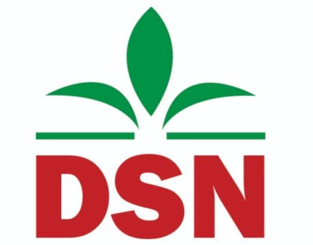 DSN Online Shop